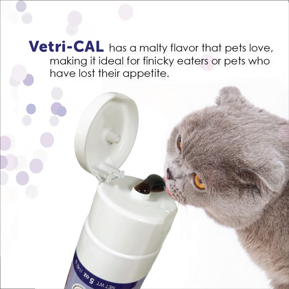 Vetri-CAL en entorno doméstico con mascota activa mostrando recuperación
