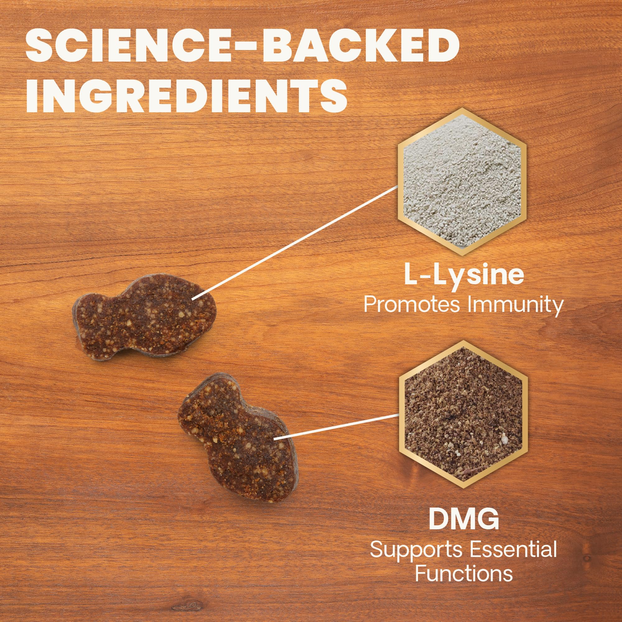 VETRISCIENCE comparación de tamaño del masticable frente a una moneda