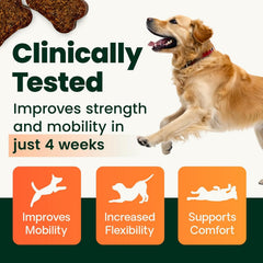 VETRISCIENCE perro aceptando el masticable, facilita dar la dosis diaria