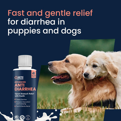 Vets Preferred comparación de tamaño 8 fl oz para dosificación clara