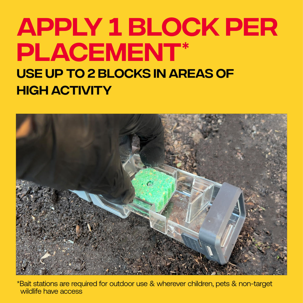 Victor bait block placed in refillable station demonstrating secure, safer placement