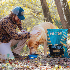 VICTOR Hi-Pro Plus kibble close-up highlighting texture for digestibility