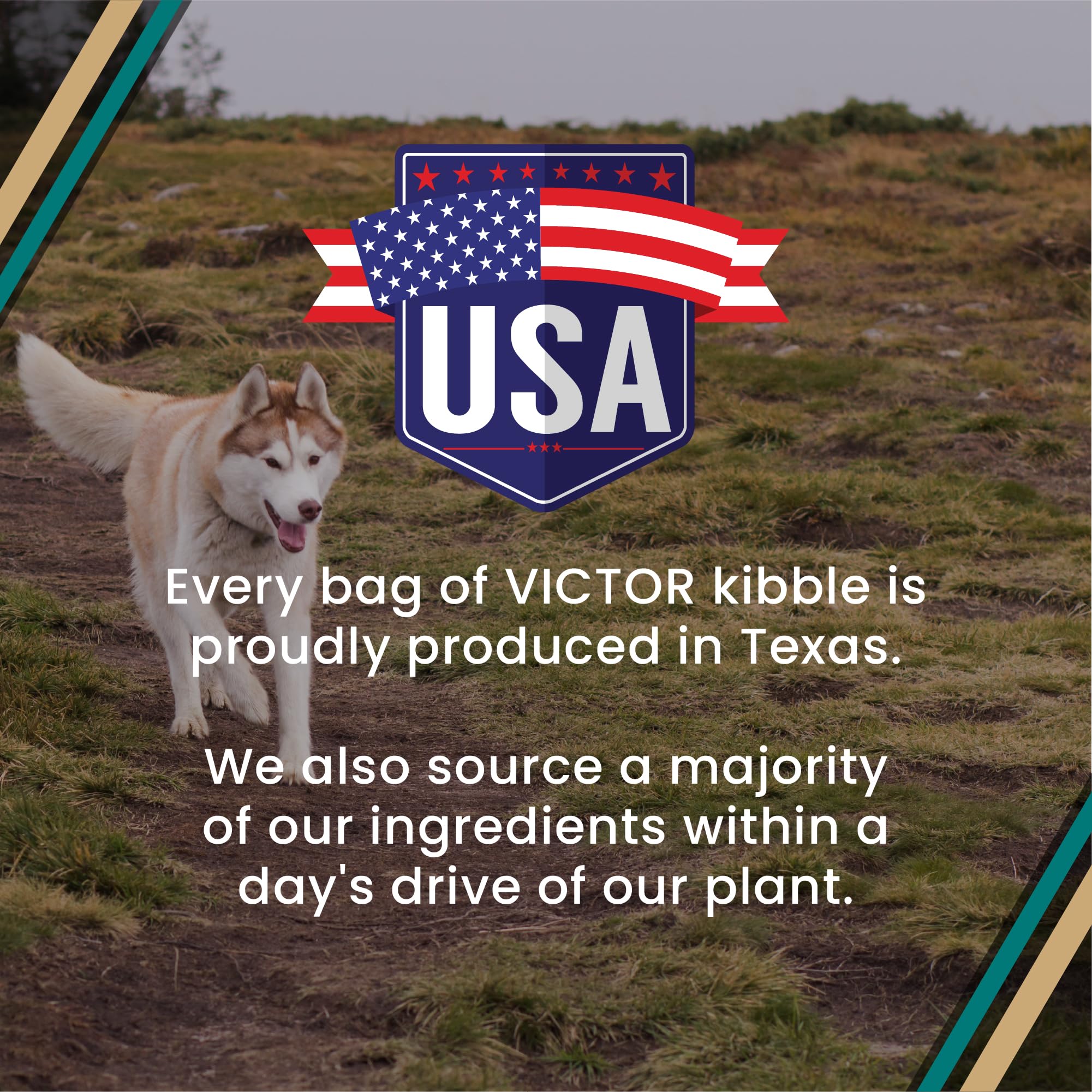 VICTOR Hi-Pro Plus production line in Texas plant indicating quality control