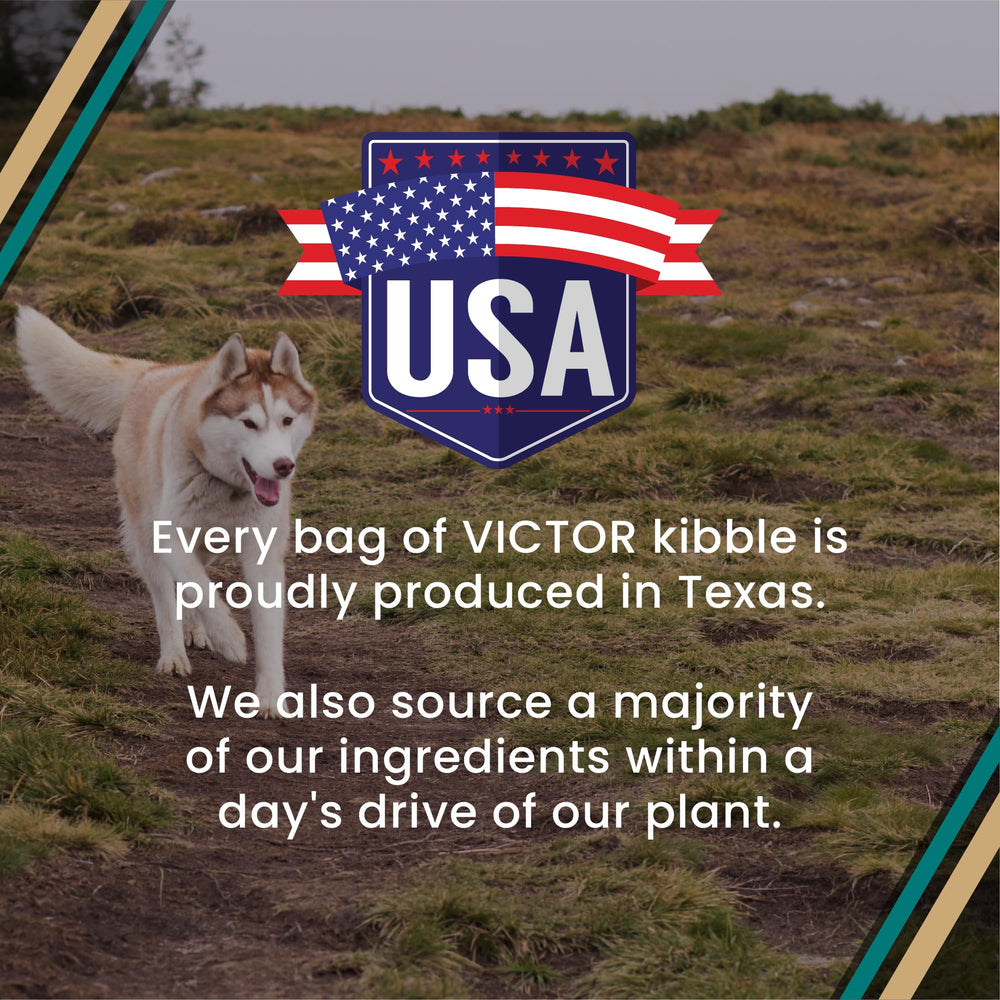 VICTOR Hi-Pro Plus production line in Texas plant indicating quality control