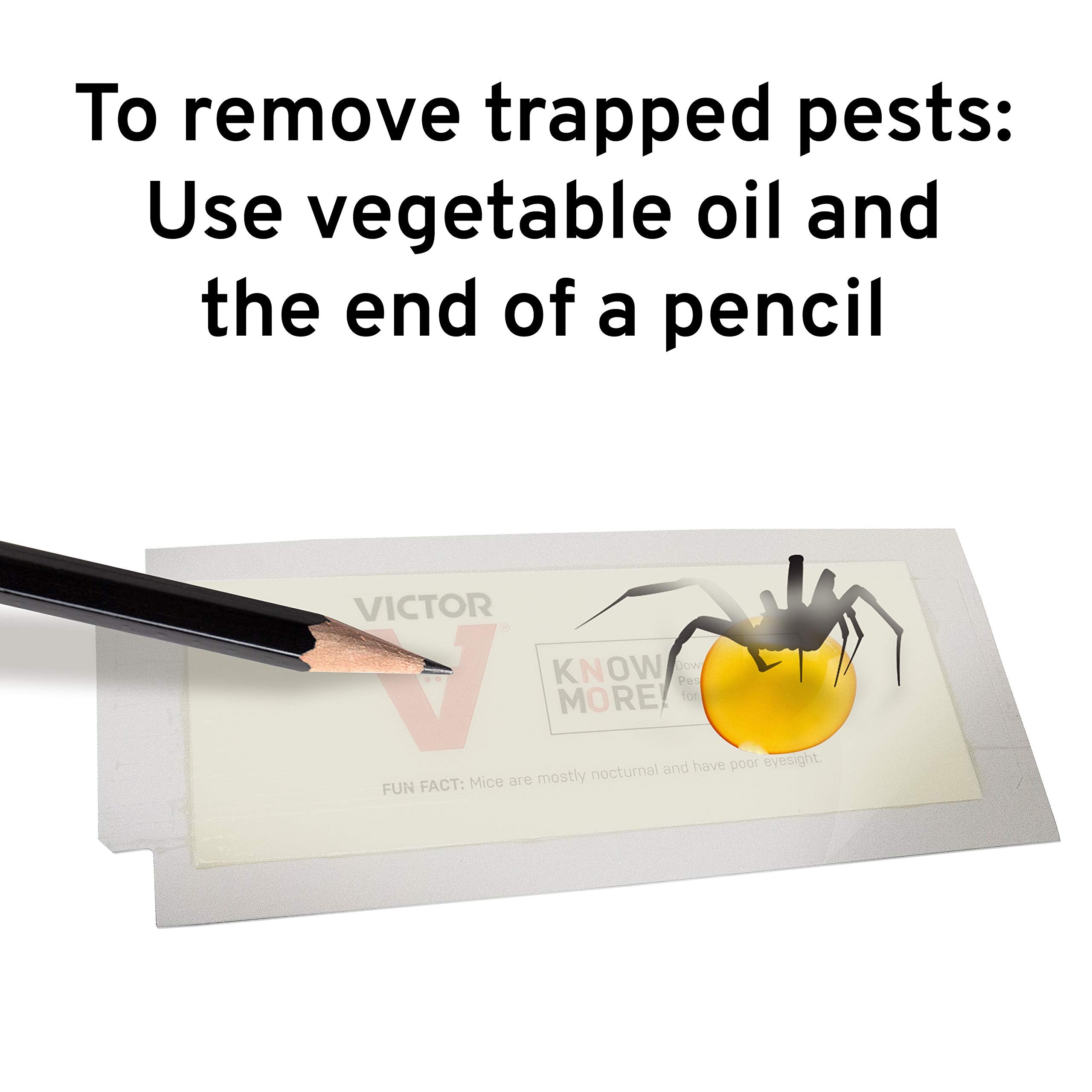 Victor glue board holding a rodent demonstrating effective capture