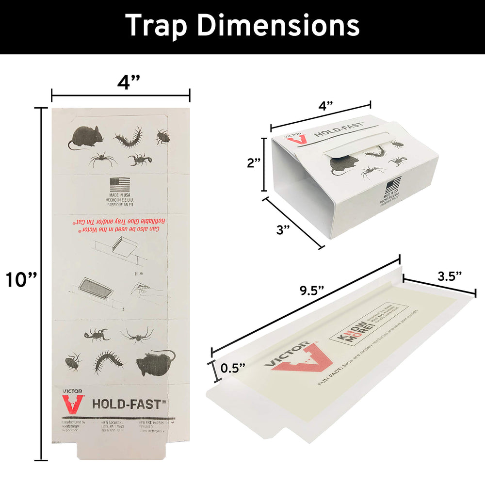 Victor glue board folded into tent shape for discreet monitoring