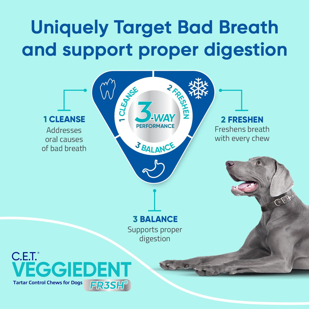 Perro pequeño masticando Virbac Veggiedent Fr3sh para mejorar aliento
