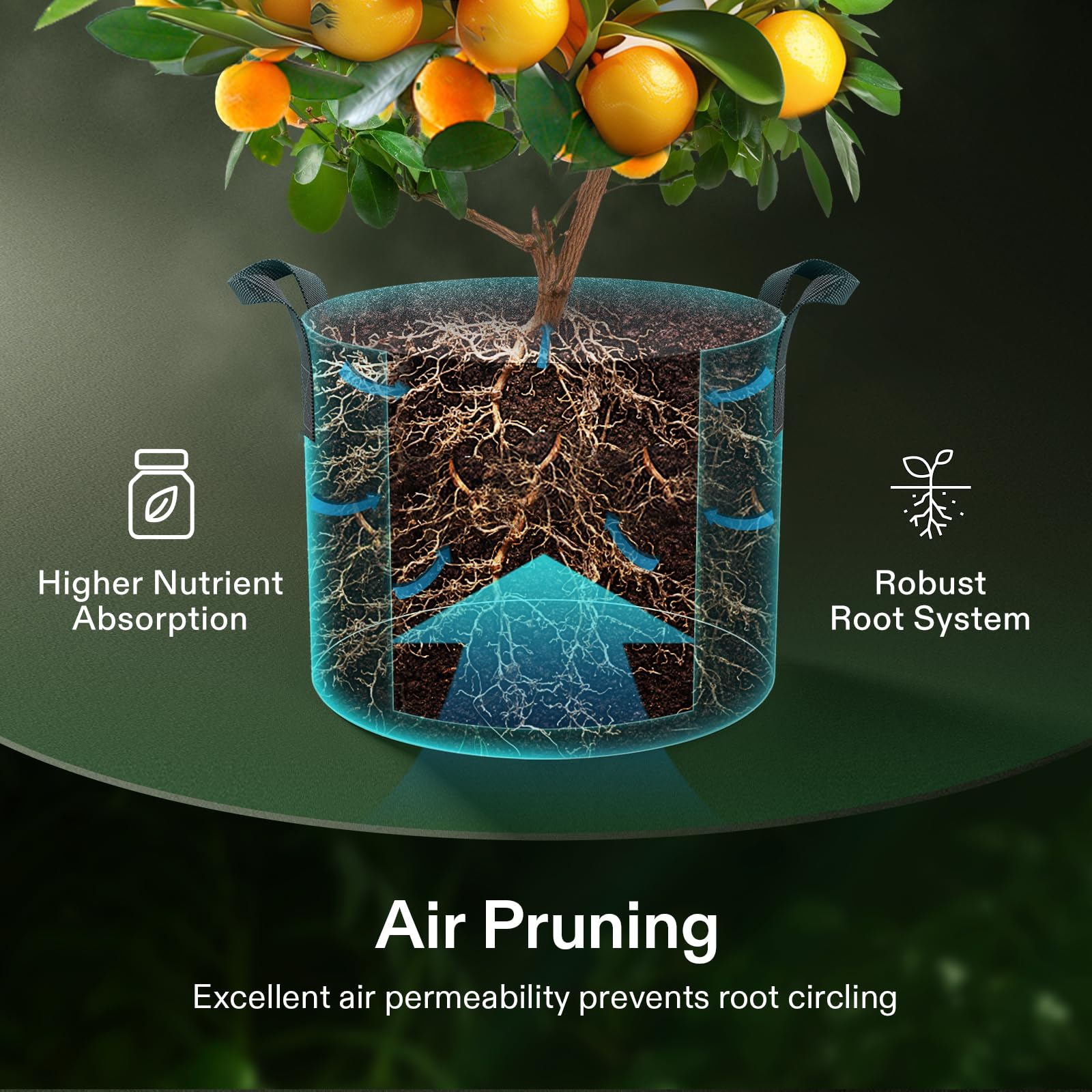 VIVOSUN bolsa de cultivo con planta de tomate mostrando uso eficiente