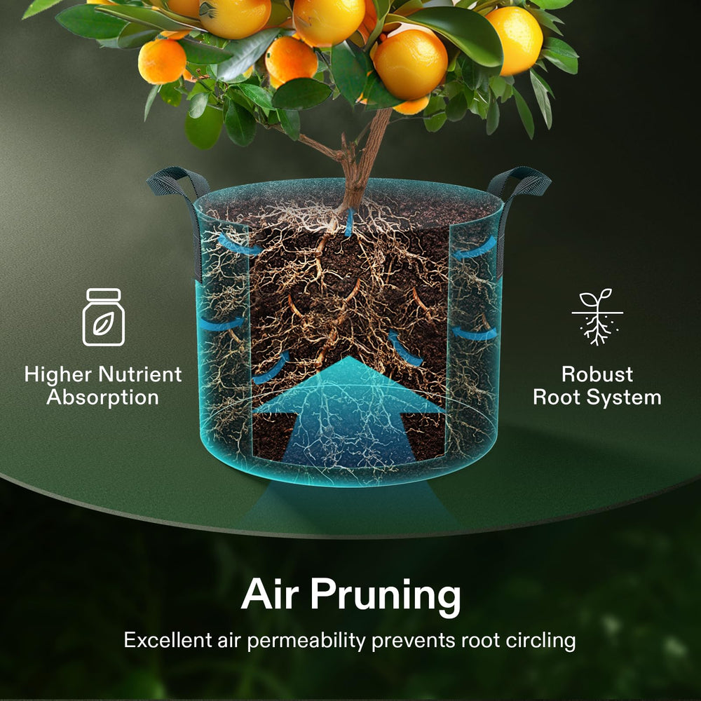 VIVOSUN bolsa de cultivo con planta de tomate mostrando uso eficiente