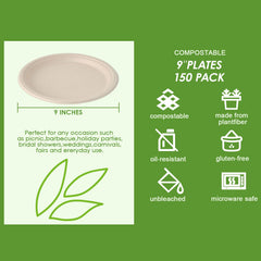 Vplus plato en manos sirviendo comida, uso práctico y durable