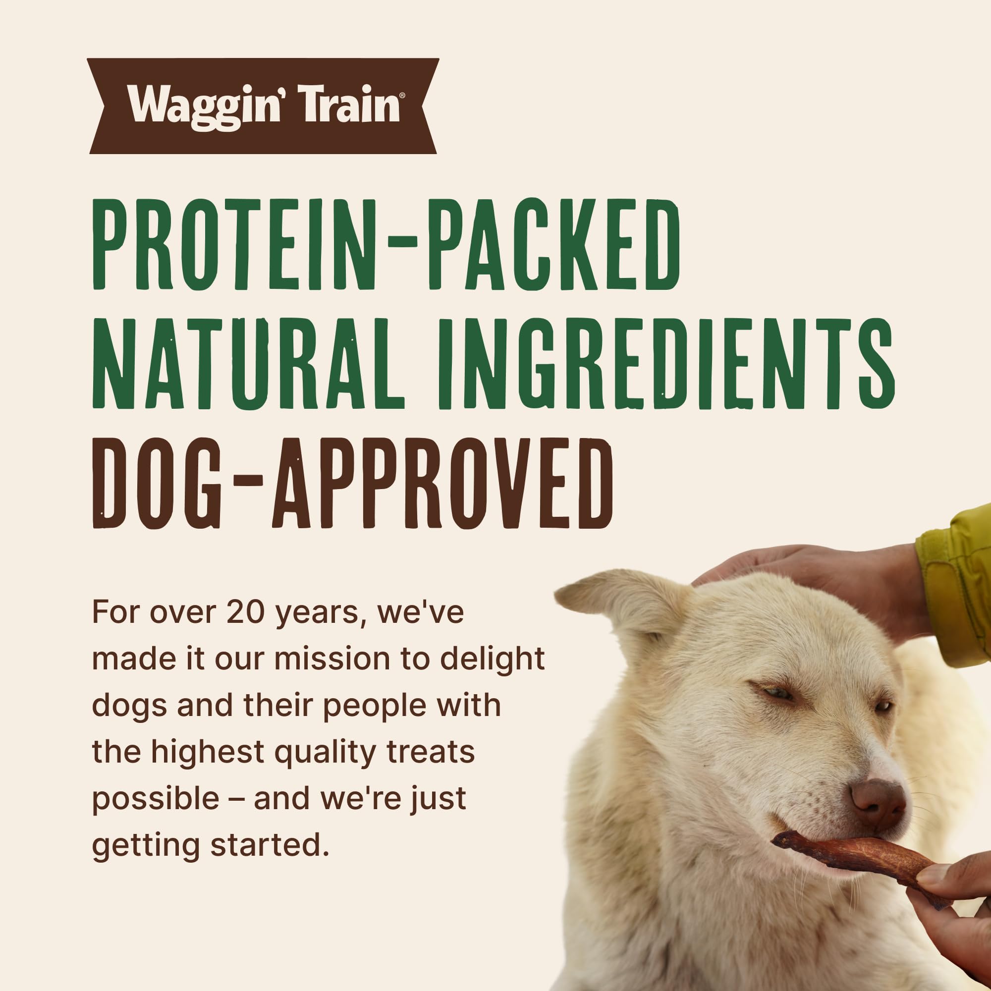Waggin' Train bolsa abierta de 36 oz mostrando cantidad y conservación