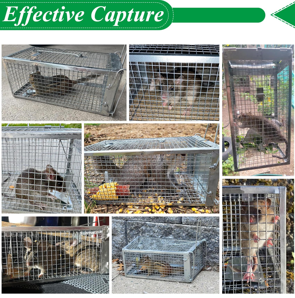 Wanqueen galvanized steel mesh detail illustrating sturdy rust-resistant construction