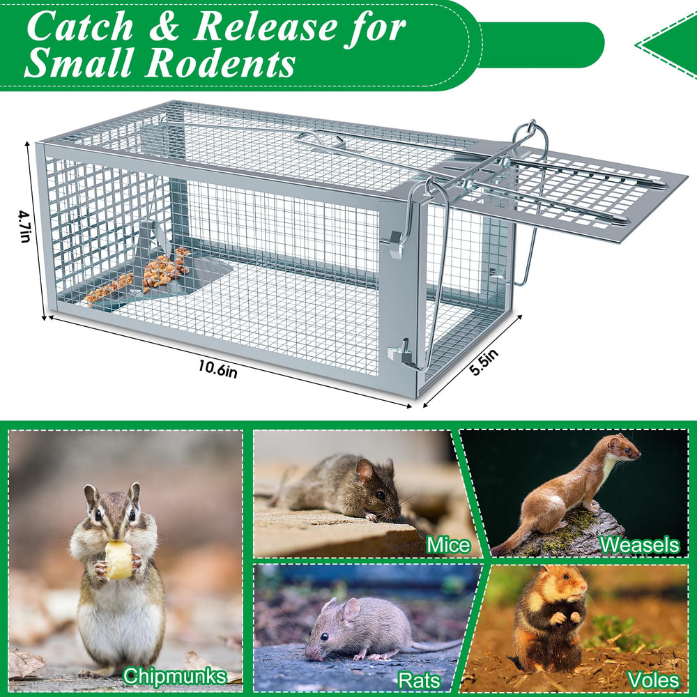 Wanqueen trap placed outside near a shed demonstrating safe outdoor rodent capture