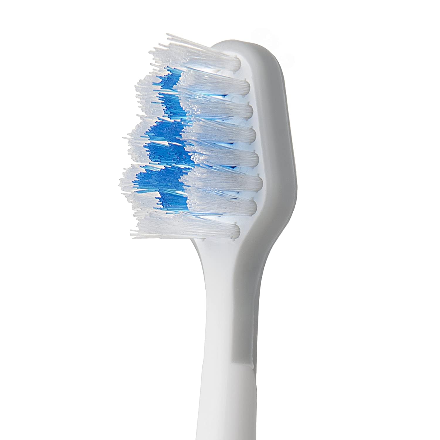 Waterpik detalle del anillo de color para identificación rápida y orden