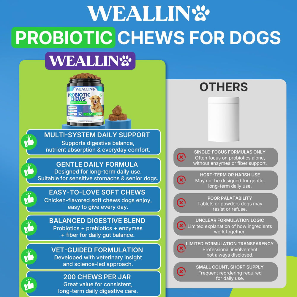 WEALLIN frasco sobre mesa de comedor reflejando uso cotidiano