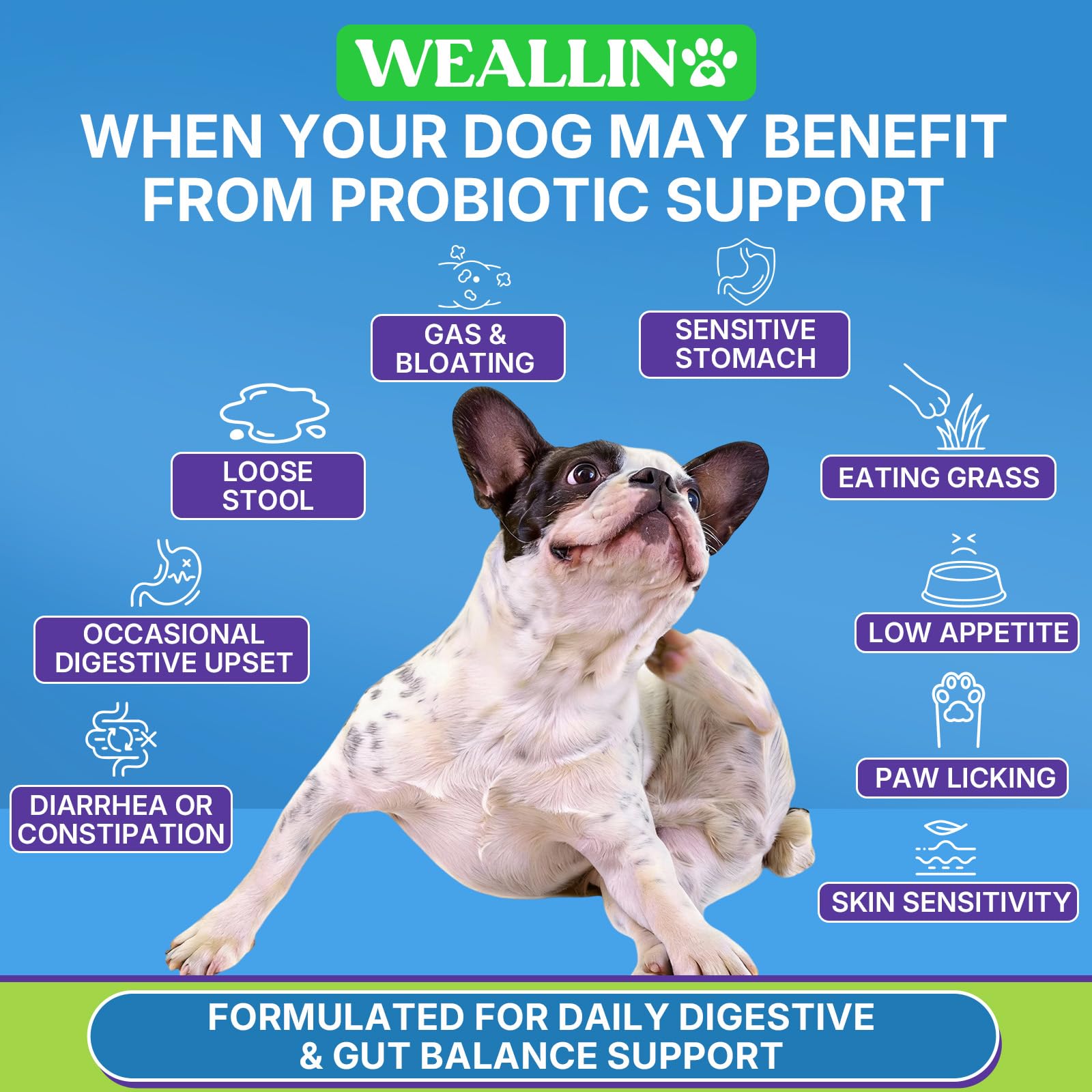 WEALLIN textura blanda del masticable fácil de masticar para perros