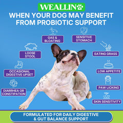 WEALLIN textura blanda del masticable fácil de masticar para perros