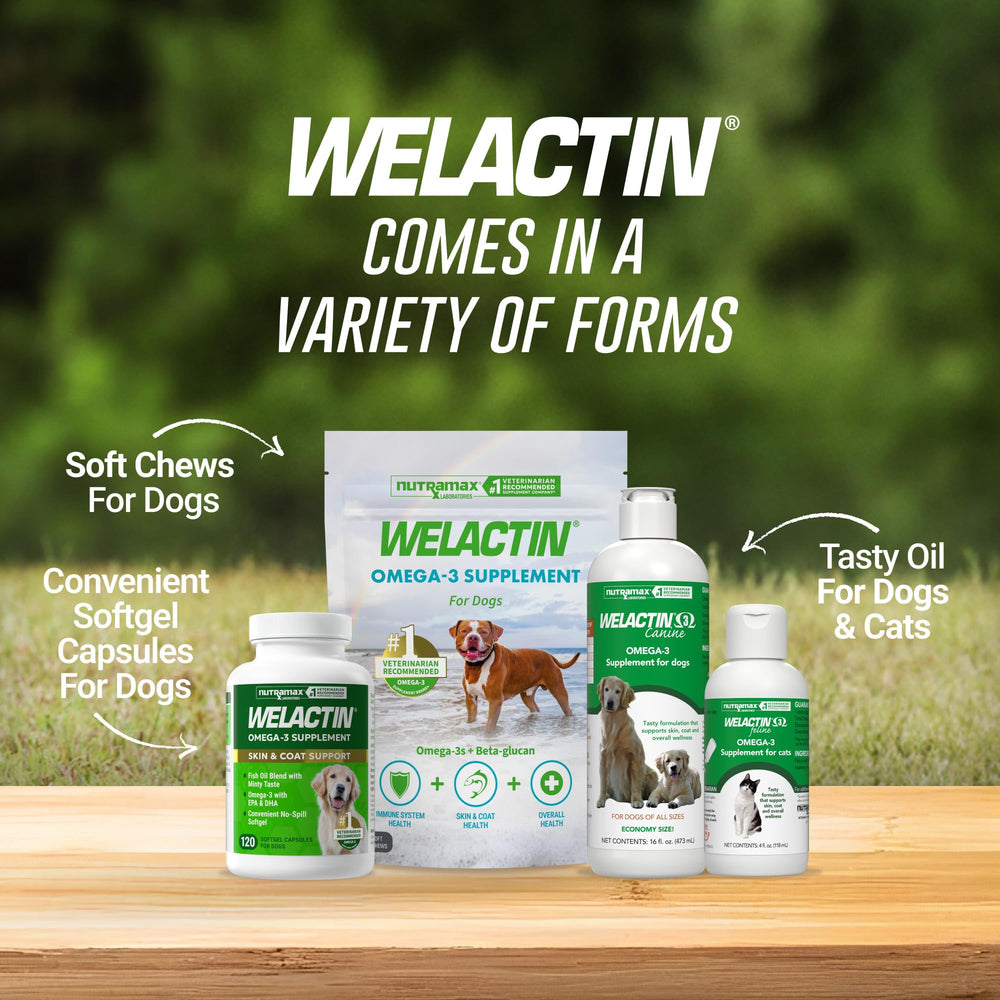 Nutramax Welactin label close-up emphasizing EPA and DHA content