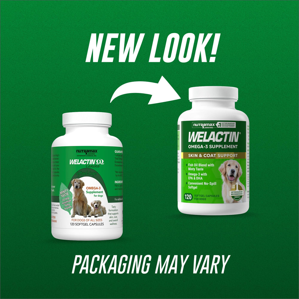 Nutramax Welactin punctured softgel oil drizzled on dog food showing easy administration