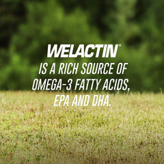 Nutramax Welactin oil sheen on softgel highlighting concentrated omega-3