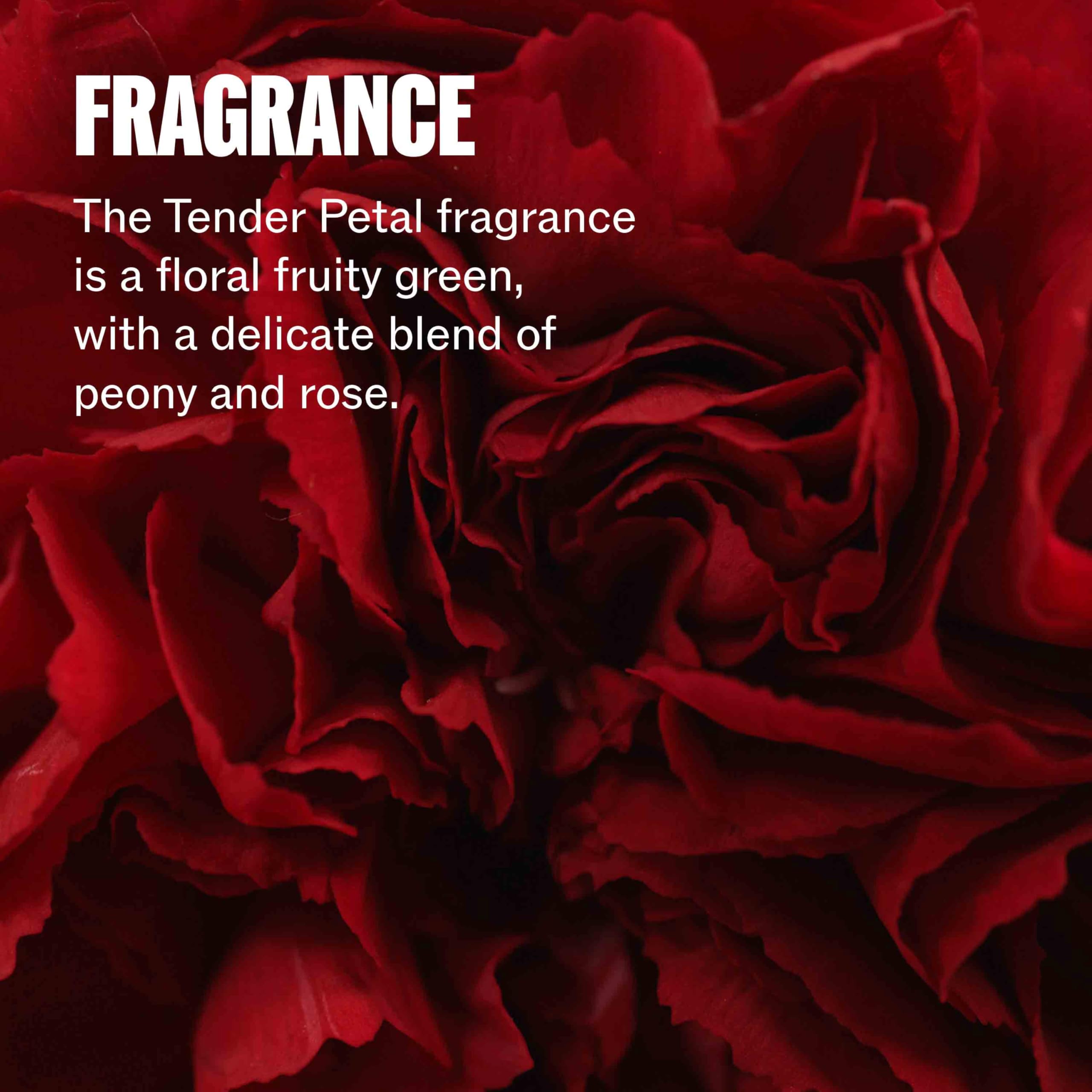 Wella Professionals stylized ingredient visual showing repair actives benefit