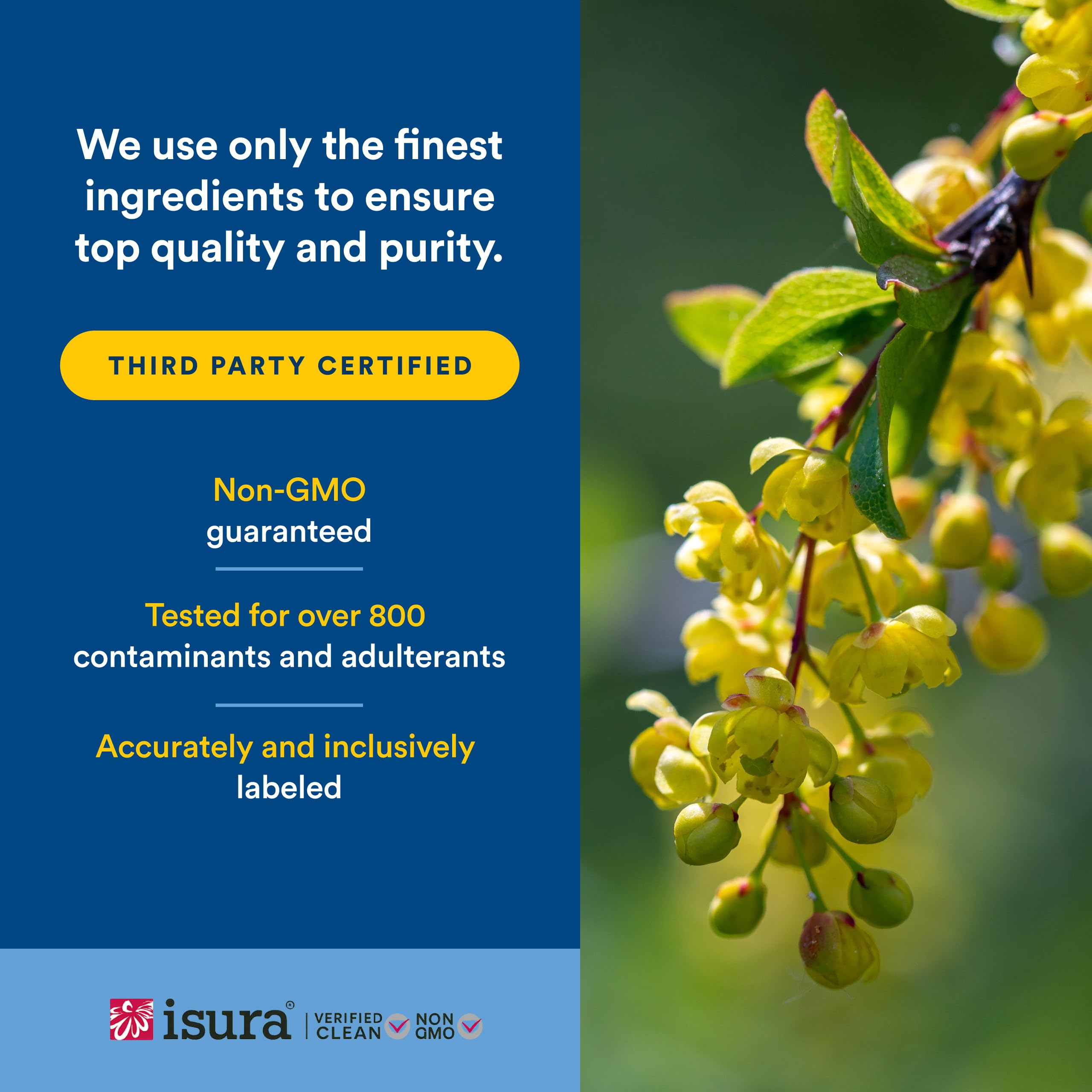 Natural Factors etiqueta de WellBetX mostrando información de ingredientes