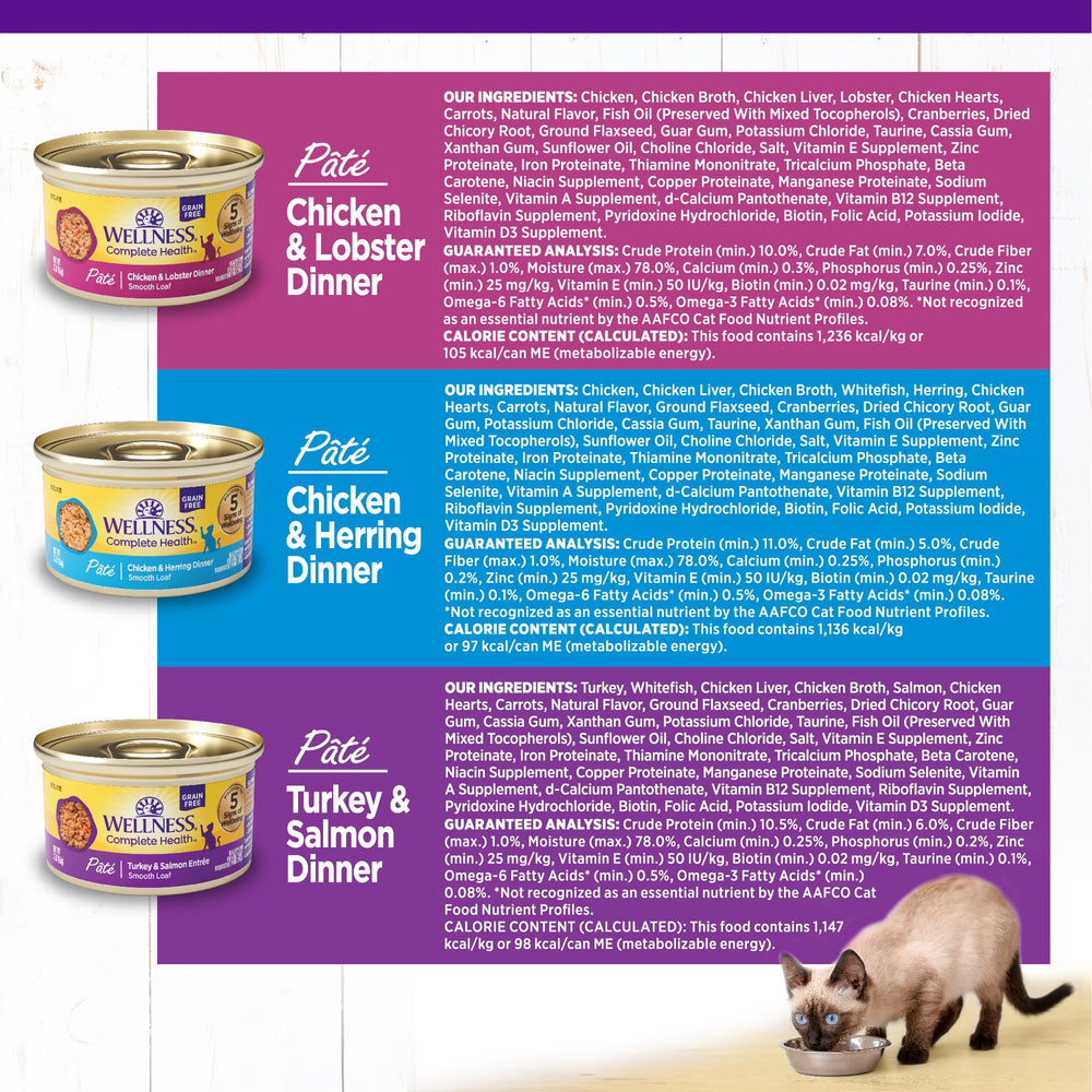 Wellness cat enjoying pate from bowl showing palatability and appeal