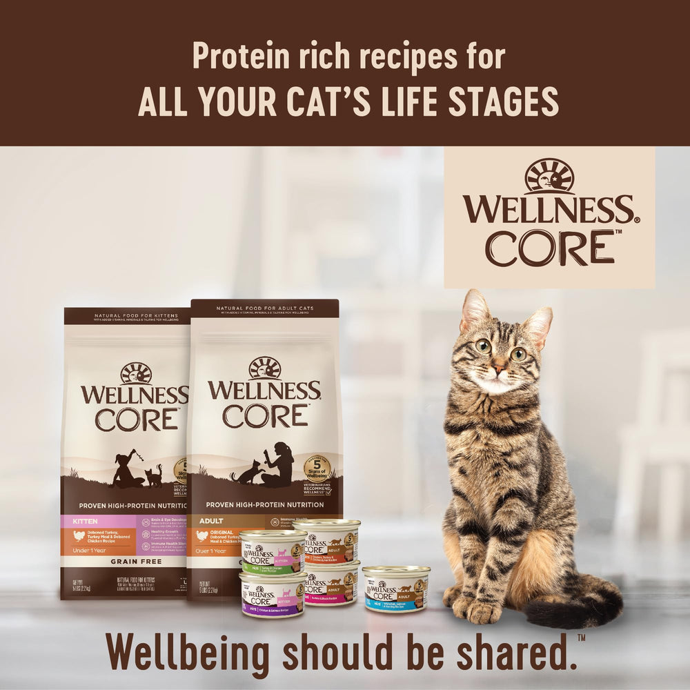 Wellness CORE gato comiendo del plato, demuestra aceptación y apetito