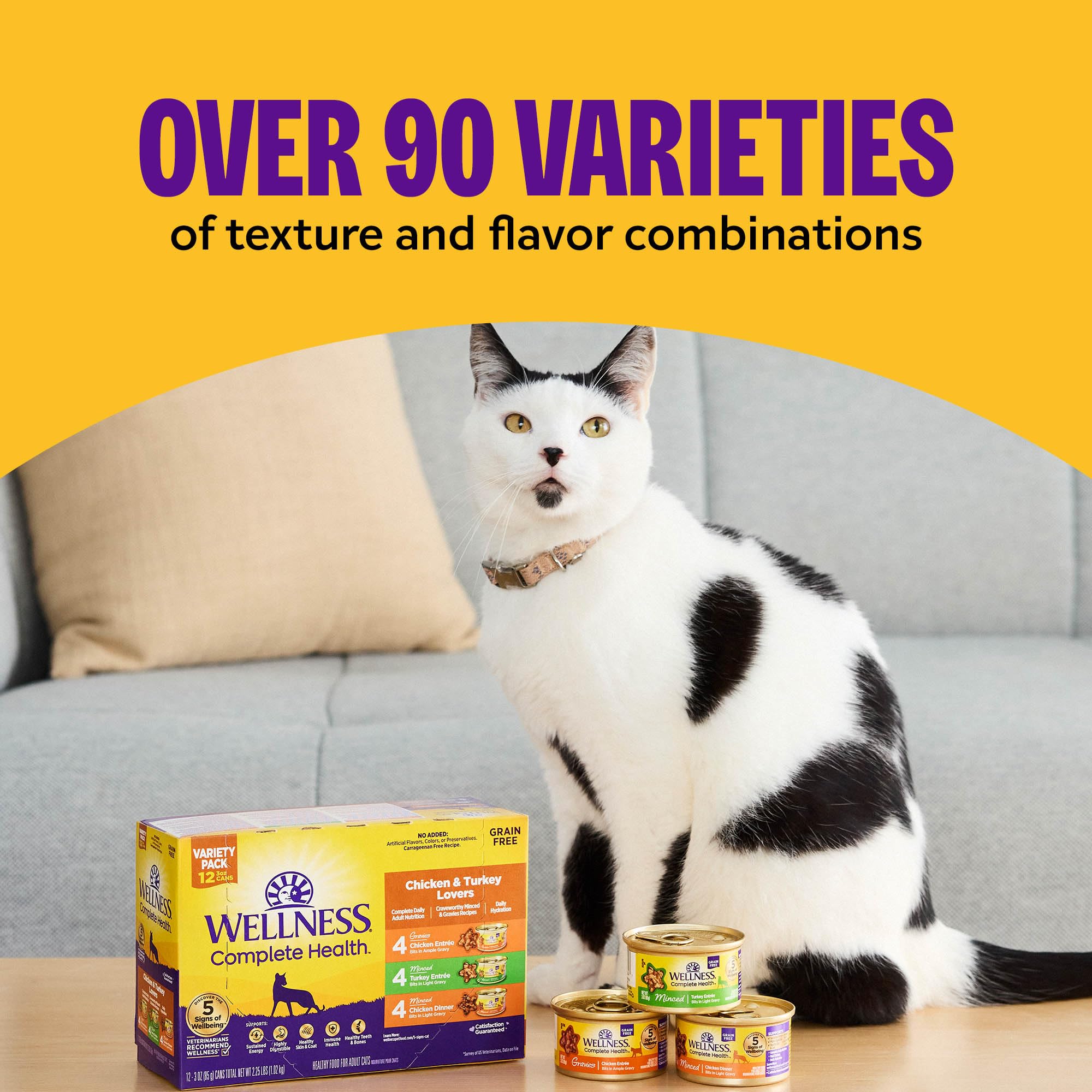 Wellness pate servido en plato, aceptación por gatos exigentes