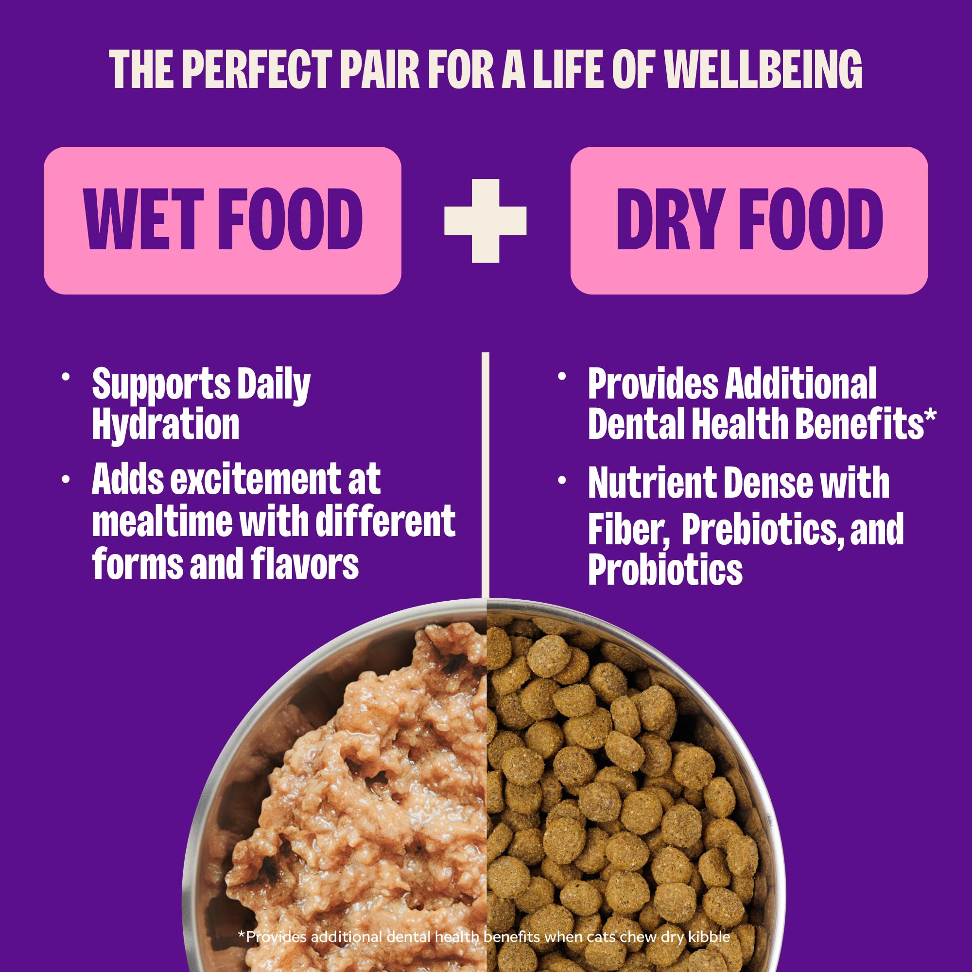 Wellness pate servido en plato demostrando fácil consumo y palatabilidad