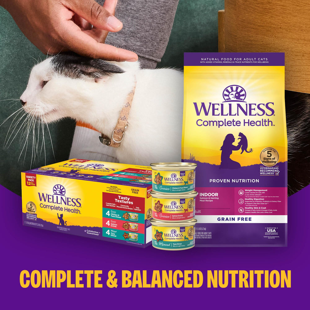 Wellness escena doméstica con gato comiendo para mostrar opción diaria