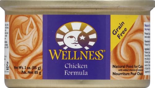 Wellness lata en mano para mostrar tamaño práctico y porción