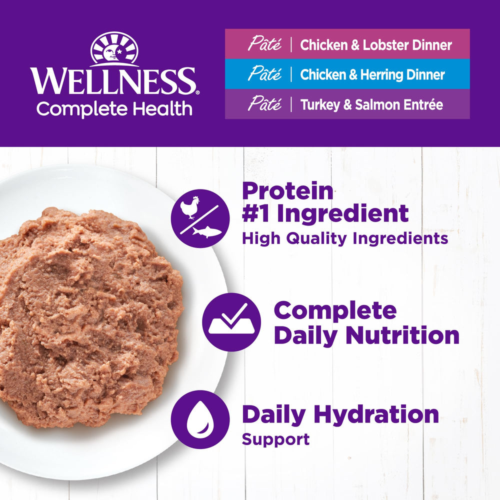 Wellness primer plano de la textura pate mostrando aspecto apetitoso
