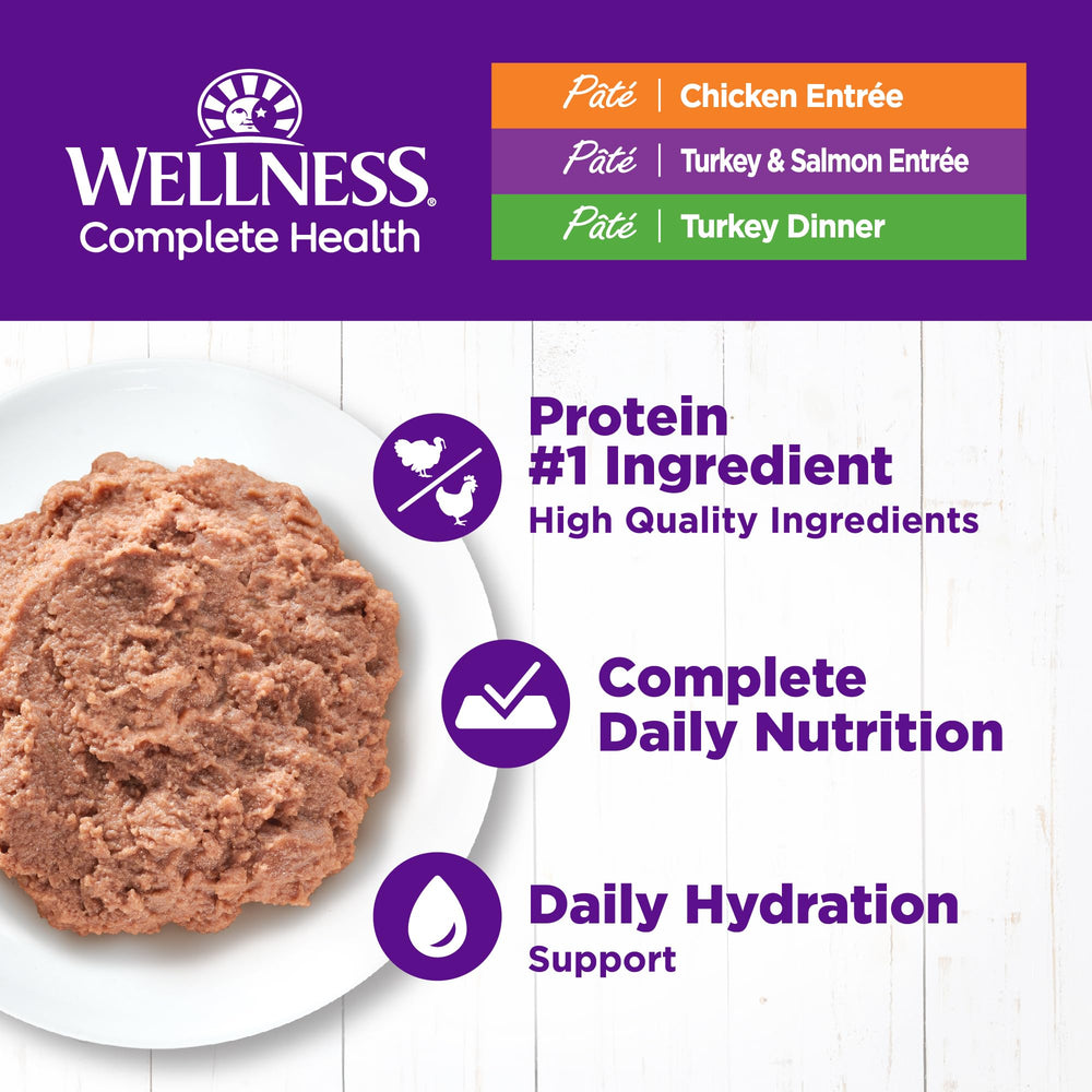 Wellness textura en pate, apetecible y fácil de masticar