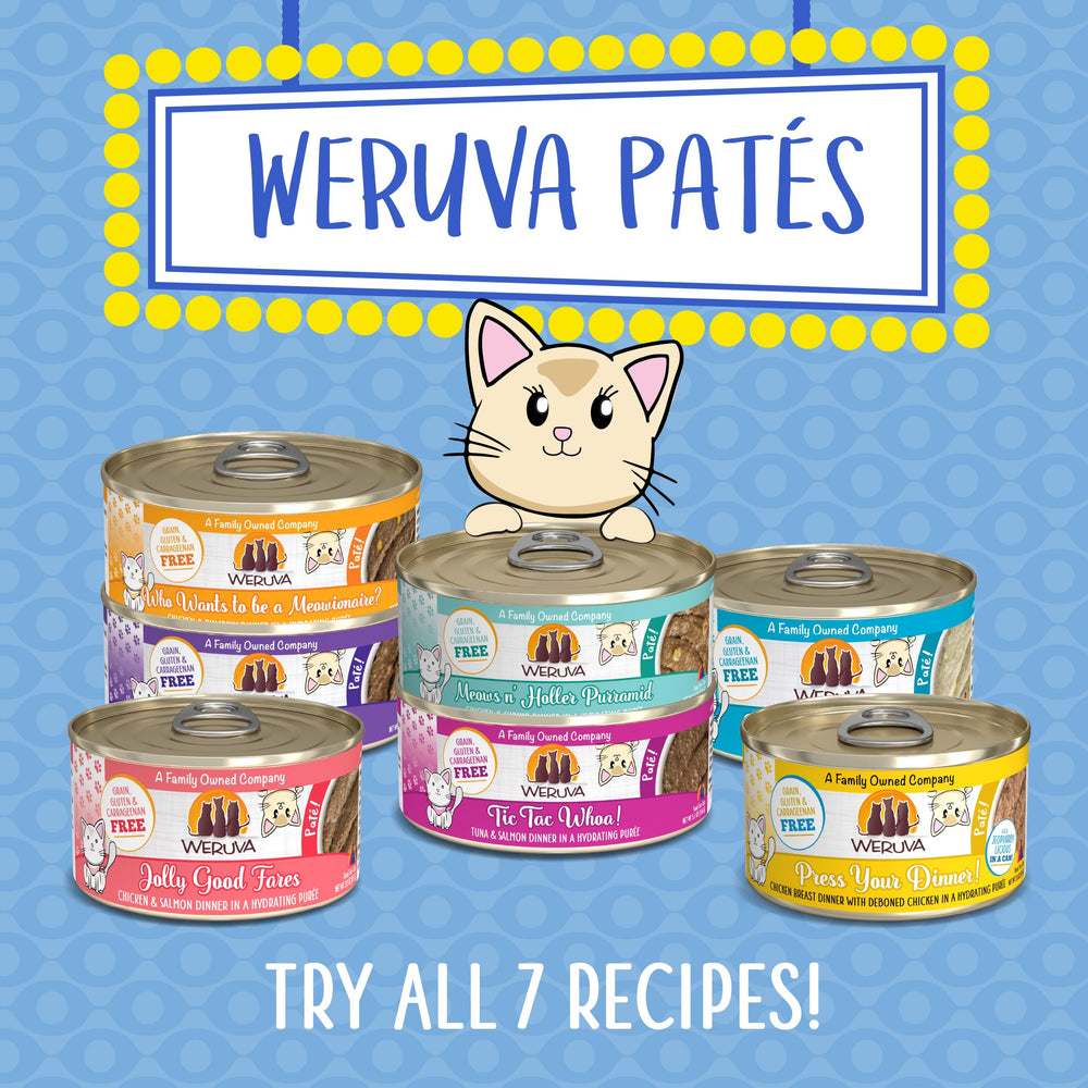 Weruva feeding scene in kitchen demonstrating everyday use and cat appeal