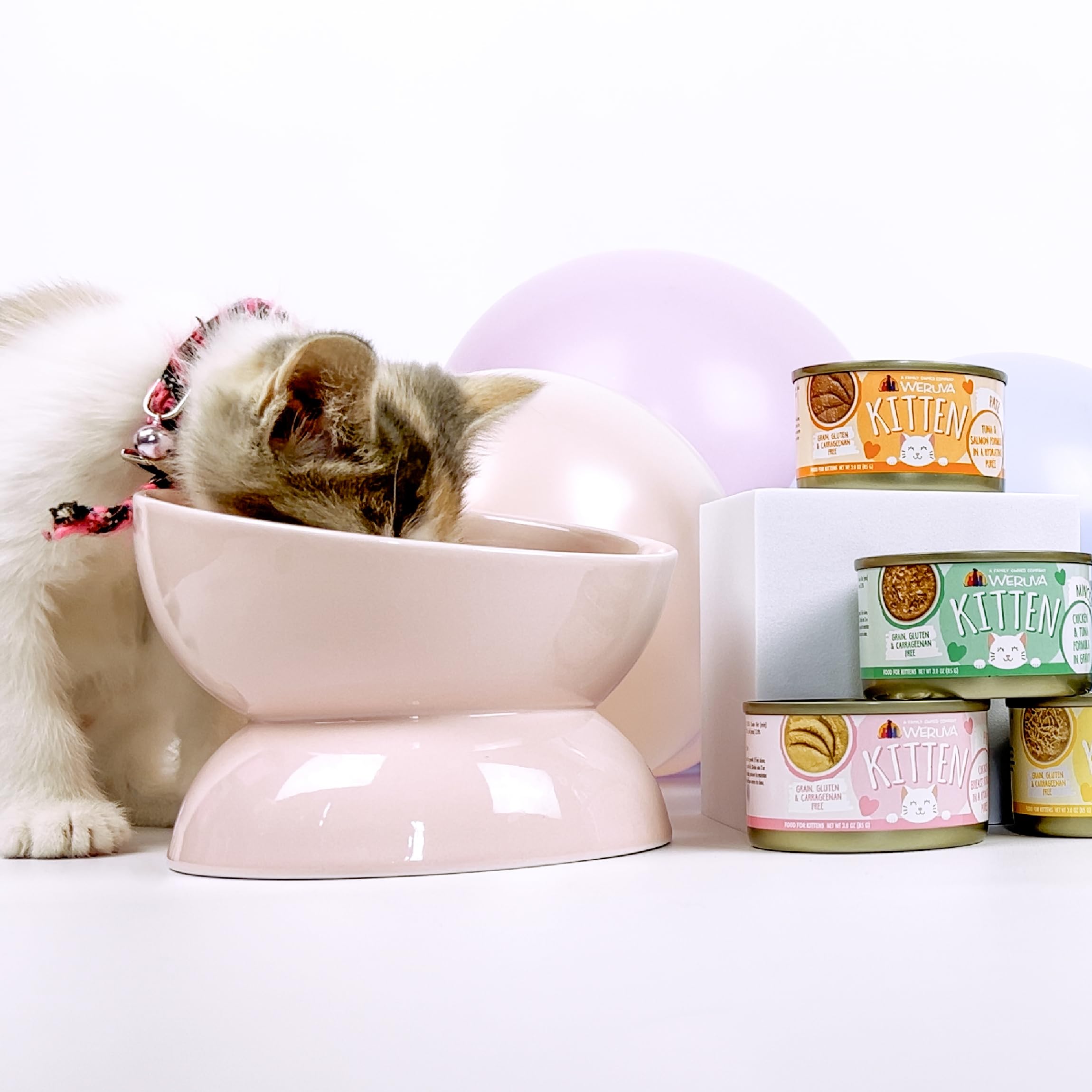 Weruva canned meal on kitchen counter in feeding setup showing everyday use