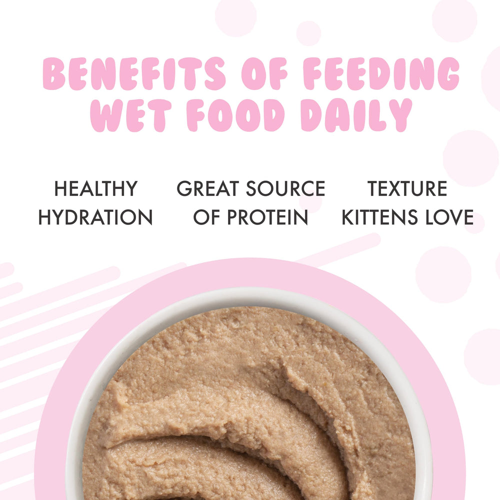 Weruva purée served in a shallow bowl showing kitten-friendly presentation and hydration