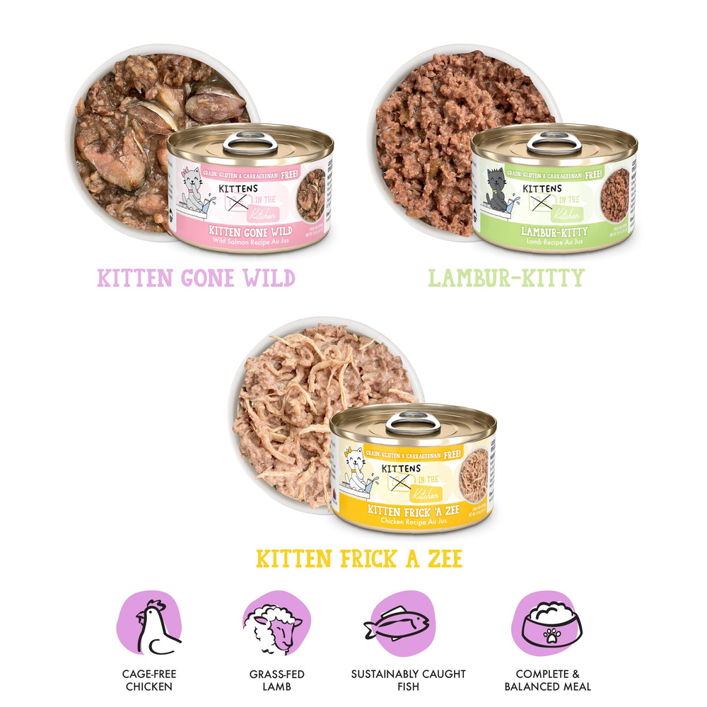 Weruva pack de 12 latas con variedad Kitten Zoomies para rotación de sabores
