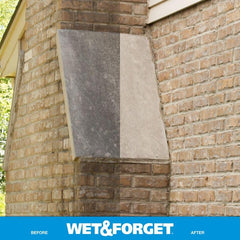 Wet & Forget comparación antes y después en patio, eliminación gradual de manchas
