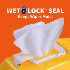 Using Wet Ones on dog paws to remove dirt and protect pads after walks benefit