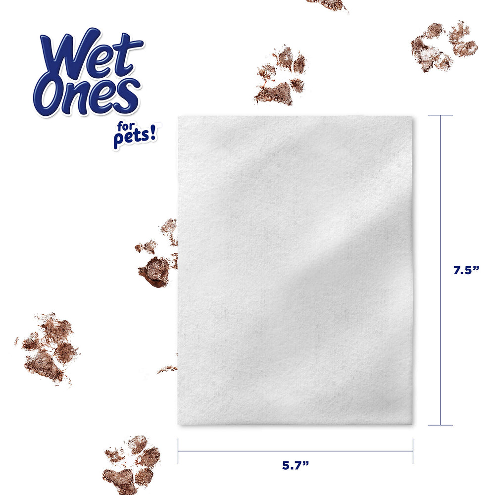 Wiping dog face and outer ear with Wet Ones for Pets to freshen and soothe benefit