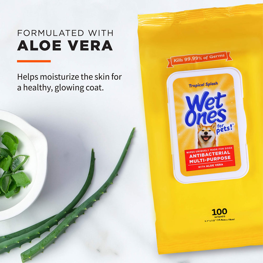 Hand pulling a Wet Ones wipe from the pouch showing easy dispensing and convenience benefit