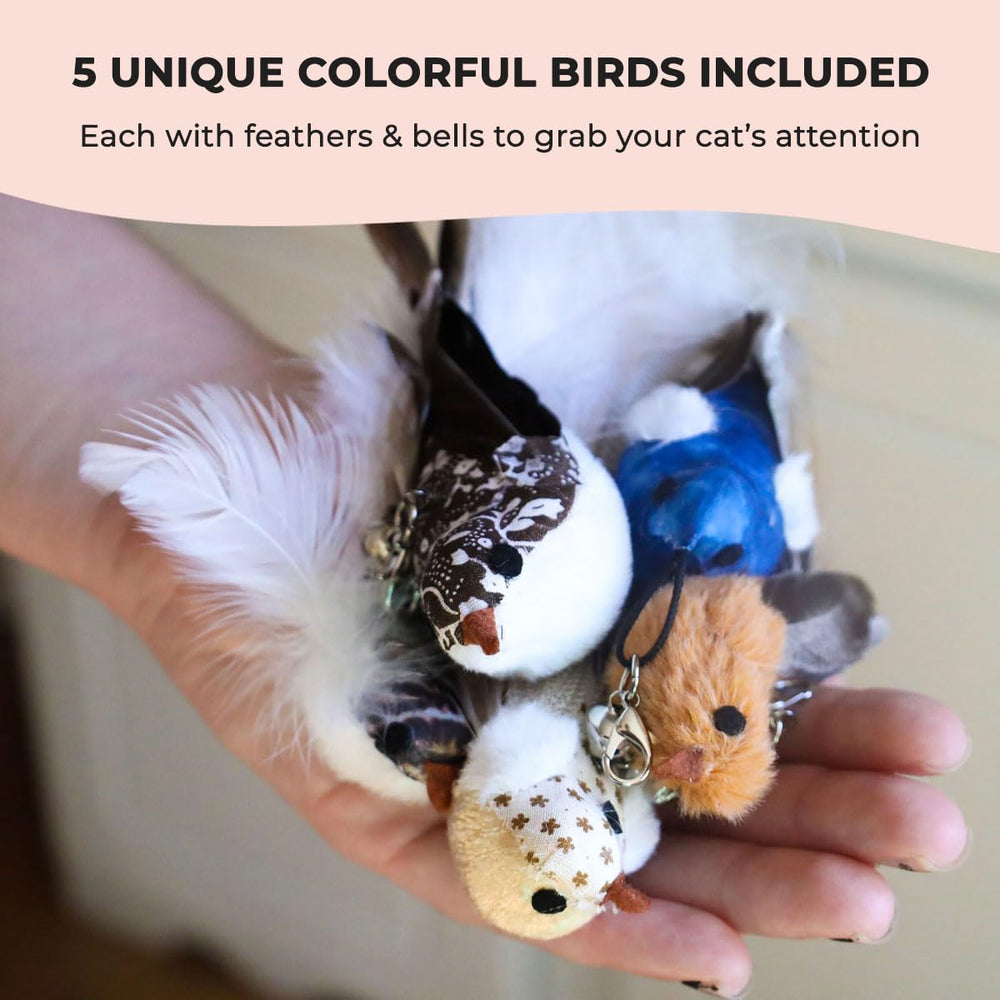 Whiskertons display of five colorful birds offering varied stimulation
