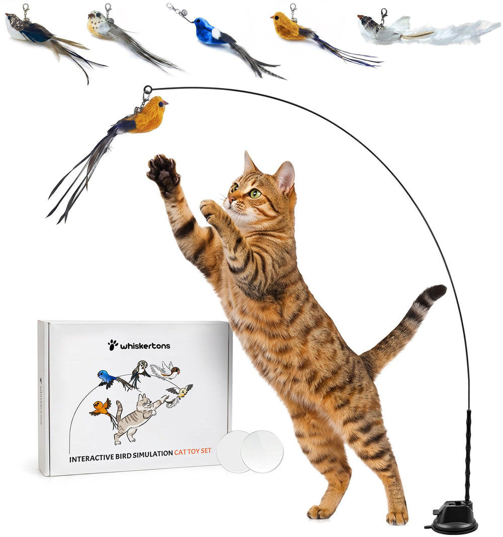 Whiskertons front packaging showing complete bird toy set and benefits