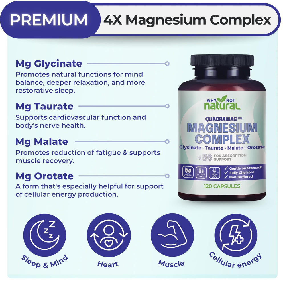 Why Not Natural cápsulas en mano para apreciar tamaño y calidad