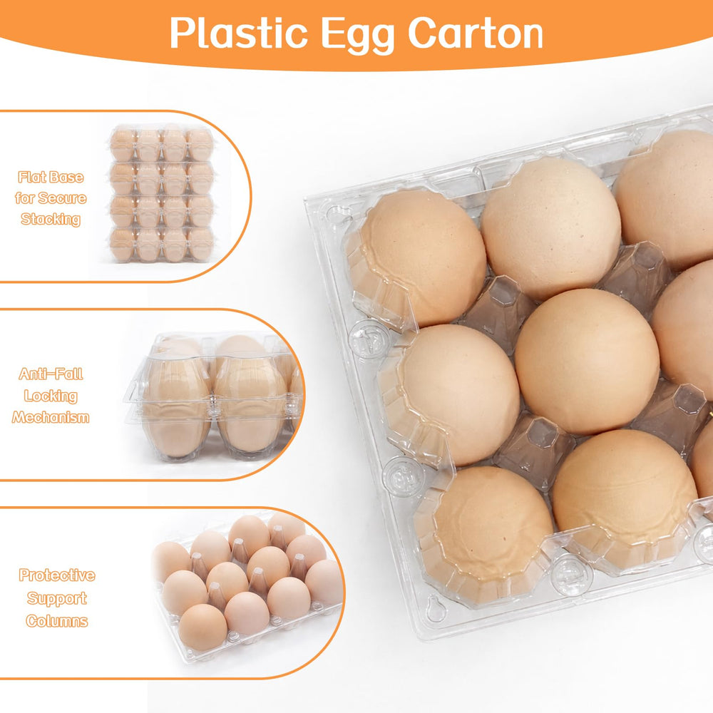 WIKDAY comparación de tamaño junto a una mano para apreciar escala y capacidad