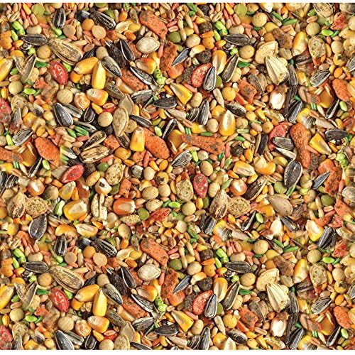Wild Harvest textura de la mezcla destacando variedad y frescura