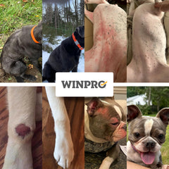 WINPRO comparación de tamaño en mano para entender la porción correcta