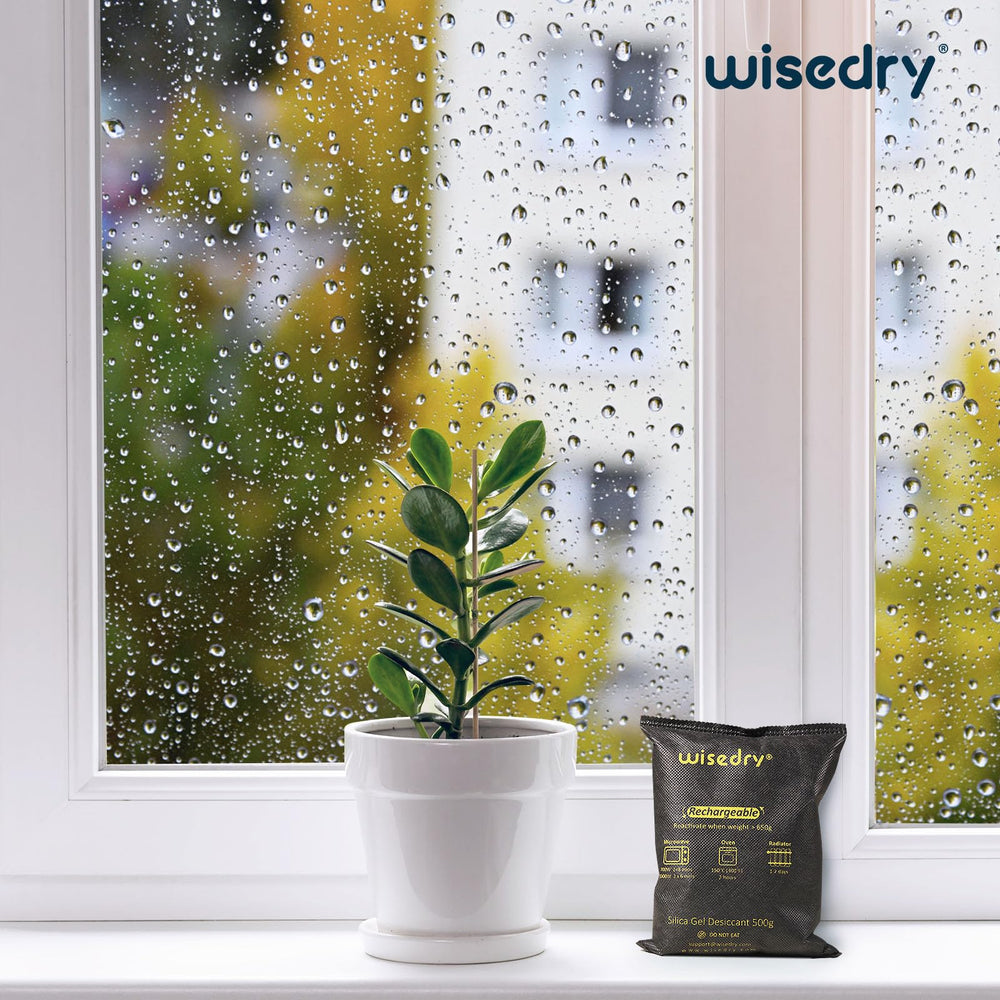 wisedry close-up of silica beads texture indicating high absorption capacity