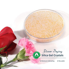 wisedry flor enterrada en gel mostrando preservación — mantiene forma y color